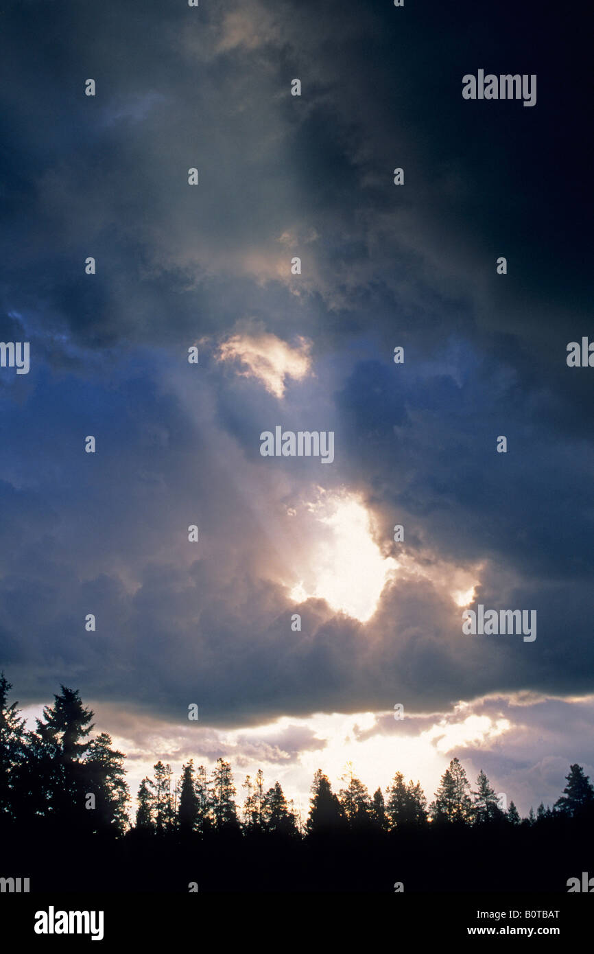 Sonnenstrahlen bei Sonnenaufgang durch Loch in dunkle Gewitterwolken über Bäume Grand-Teton-Nationalpark, WYOMING Stockfoto