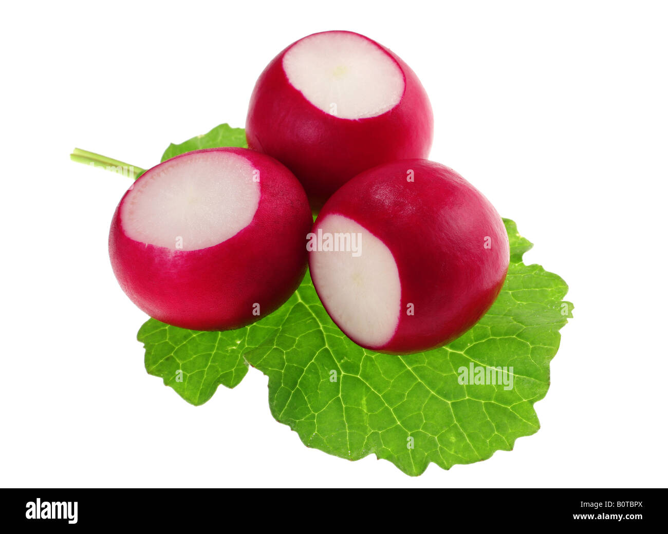 Radieschen Gemüse Gruppe mit grünem Blatt Stockfoto