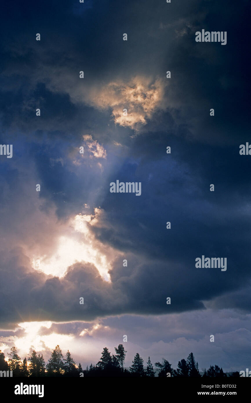 Sonnenstrahlen bei Sonnenaufgang durch Loch in dunkle Gewitterwolken über Bäume Grand-Teton-Nationalpark, WYOMING Stockfoto