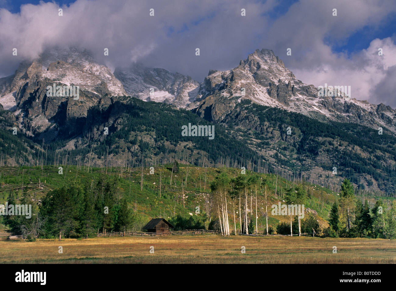 Holz-Scheune und Espe Bäume unter die Teton Range bestäubt durch erste Herbst Schnee Grand Teton Nat l Pk WYOMING Stockfoto