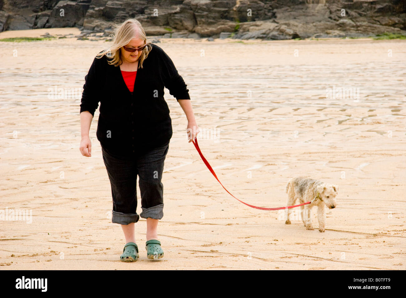 Reife Frau, die einen alten Hund auf einen Strand Stockfoto