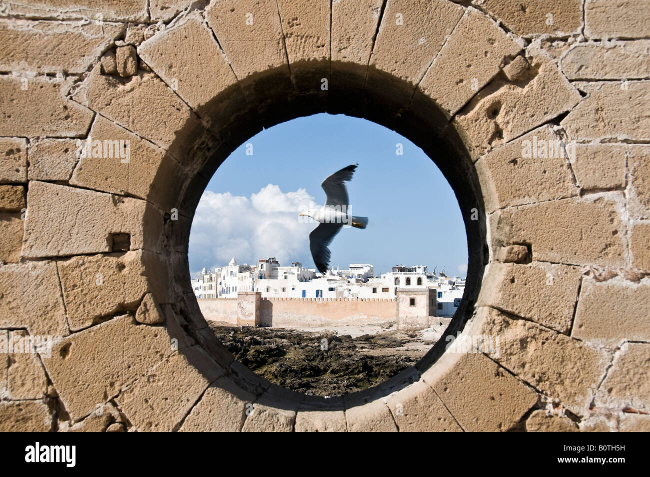 15 08 08 Essaouira Marokko Blick vom alten Hafen Fort Foto Simon Grosset Stockfoto