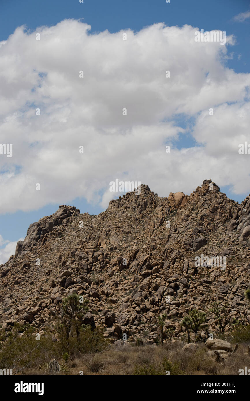 Joshua Baum Wolken Blau Himmel Desert National Park Bergen Scenic Palm Springs Coachella Valley in Kalifornien Stockfoto