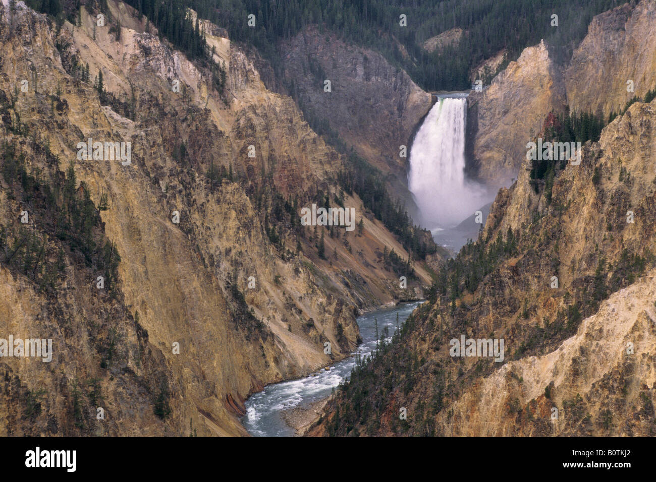 Lower Yellowstone Falls Grand Canyon des Yellowstone River Yellowstone Nationalpark-WYOMING Stockfoto