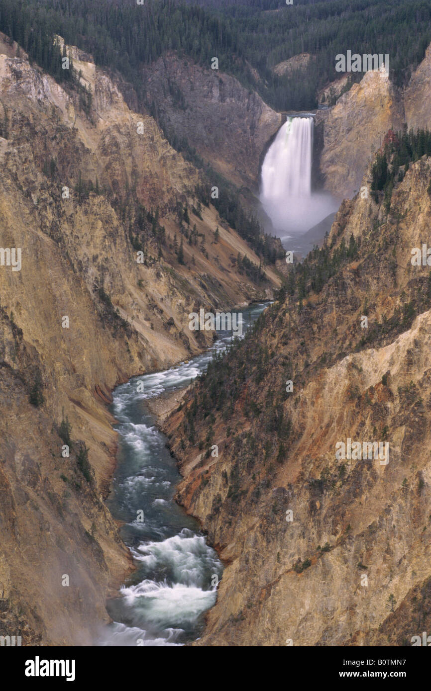 Lower Yellowstone Falls Grand Canyon des Yellowstone River Yellowstone Nationalpark-WYOMING Stockfoto