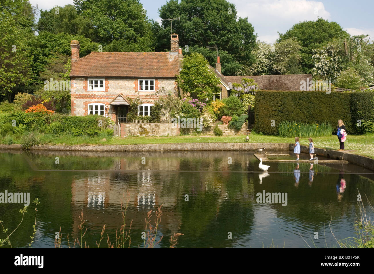 Familie Fütterung Gänse Shottermill Haslemere Surrey UK Stockfoto