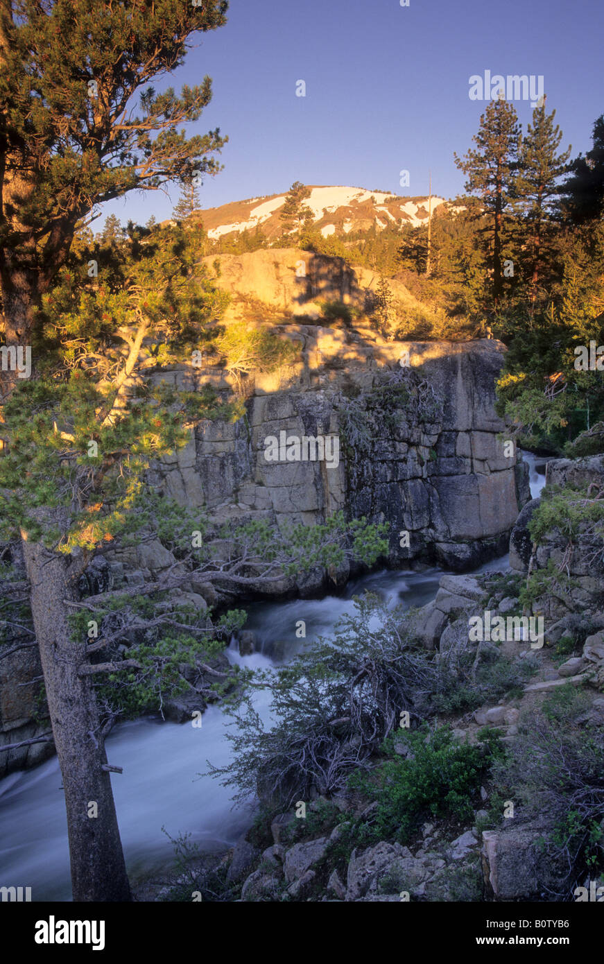 Leavitt Creek in der Nähe von Sonora Pass, Toiyabe National Forest, die Berge der Sierra Nevada, Kalifornien, USA Stockfoto