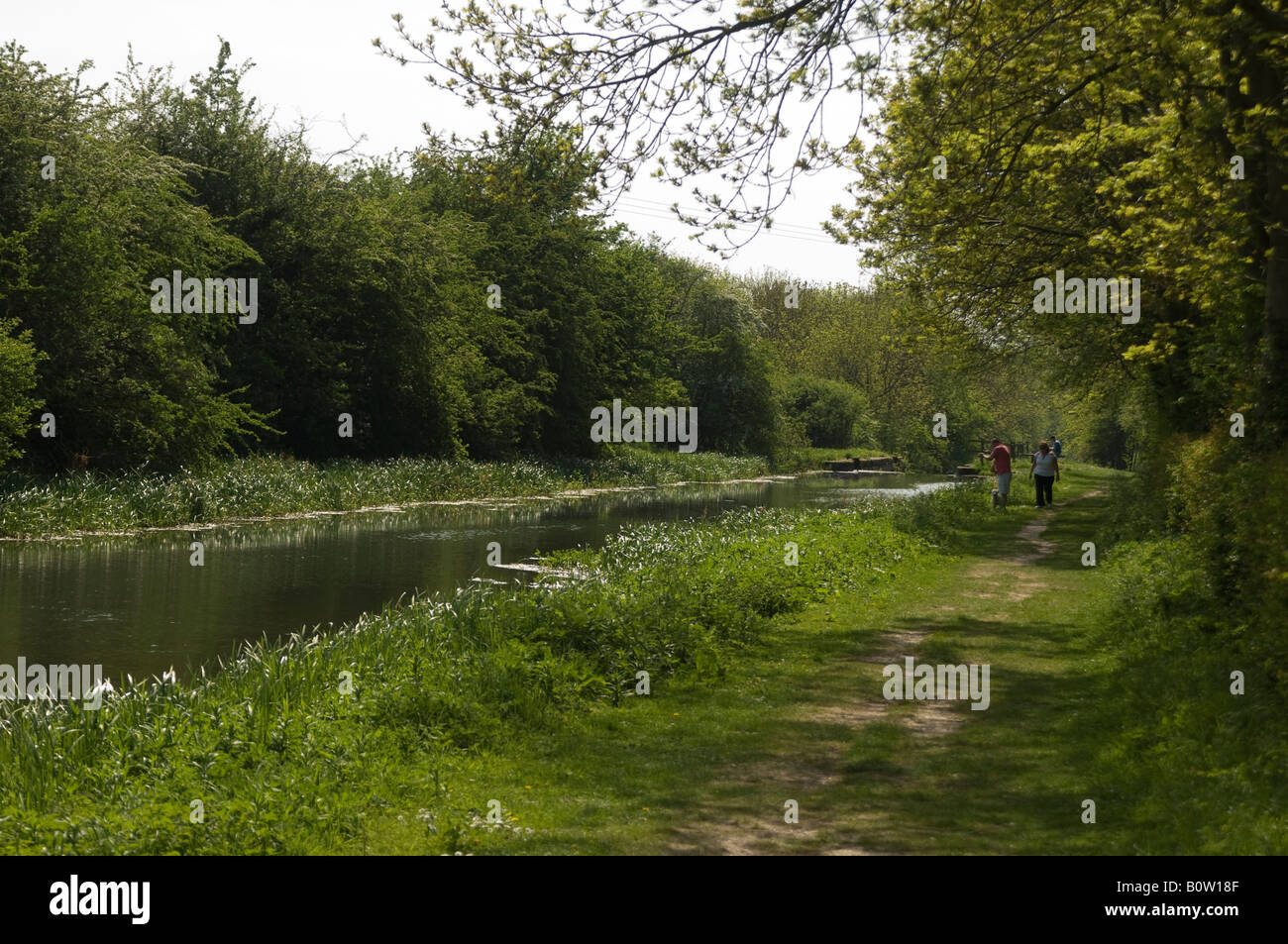 Zwei Menschen, die zu Fuß entlang der Leinpfad Pocklington Canal, East Yorkshire, UK Stockfoto