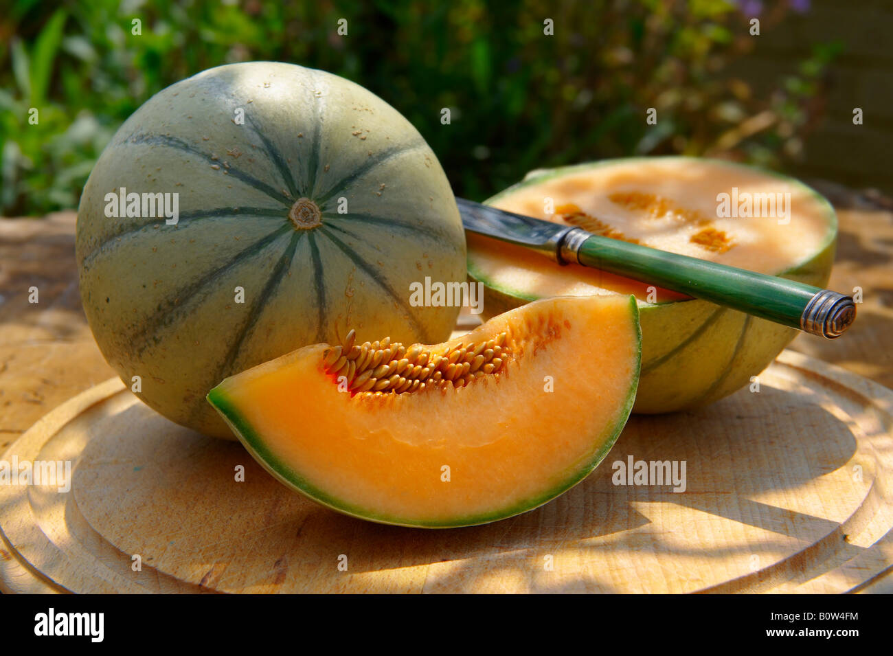 Frisch schneiden Cantaloupe Melone ganz und schneiden auf dem Holz Tisch im Garten Stockfoto