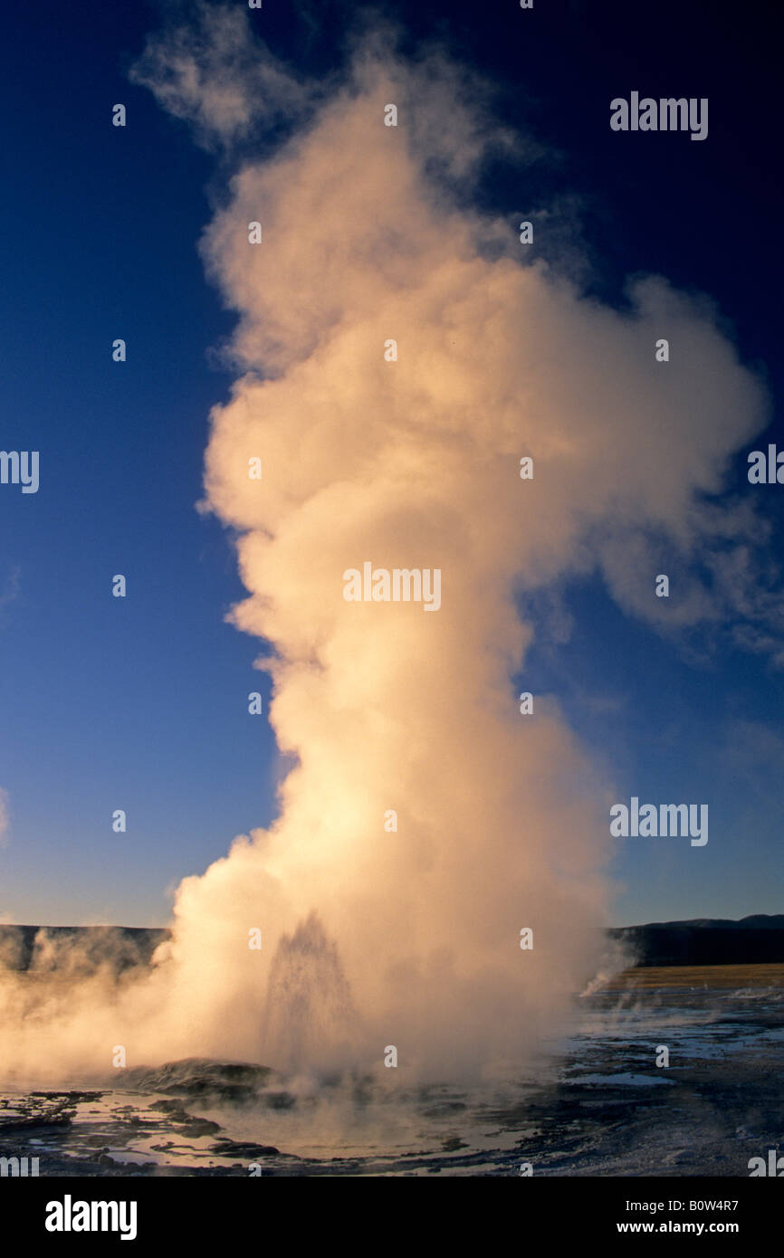 Fountain Geysir bei Sonnenuntergang Fountain Paint Pot Bereich Yellowstone-Nationalpark, Wyoming Stockfoto