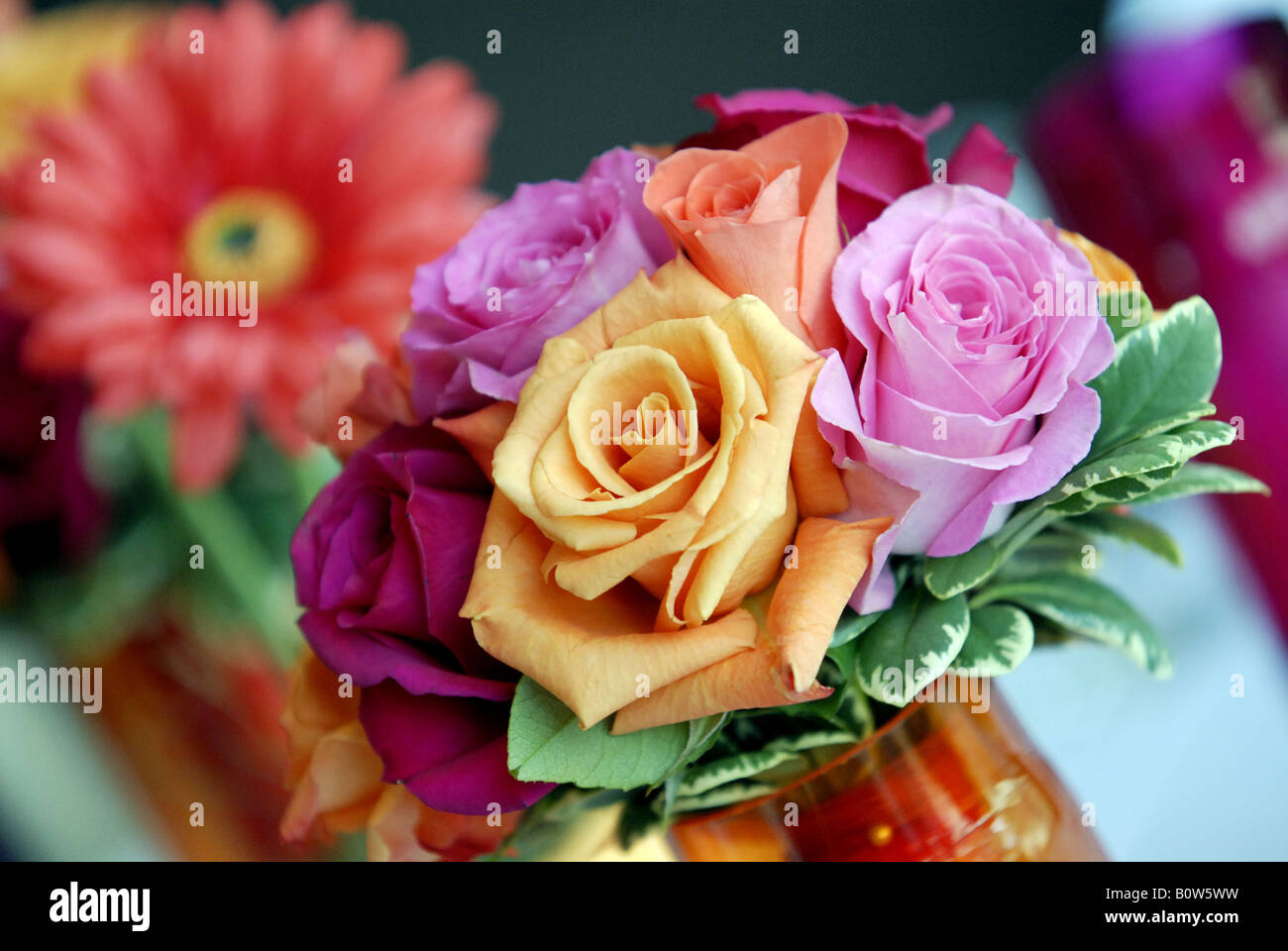 Rosa, orange, rot und lila Rosen als Hochzeitsblumen Stockfoto