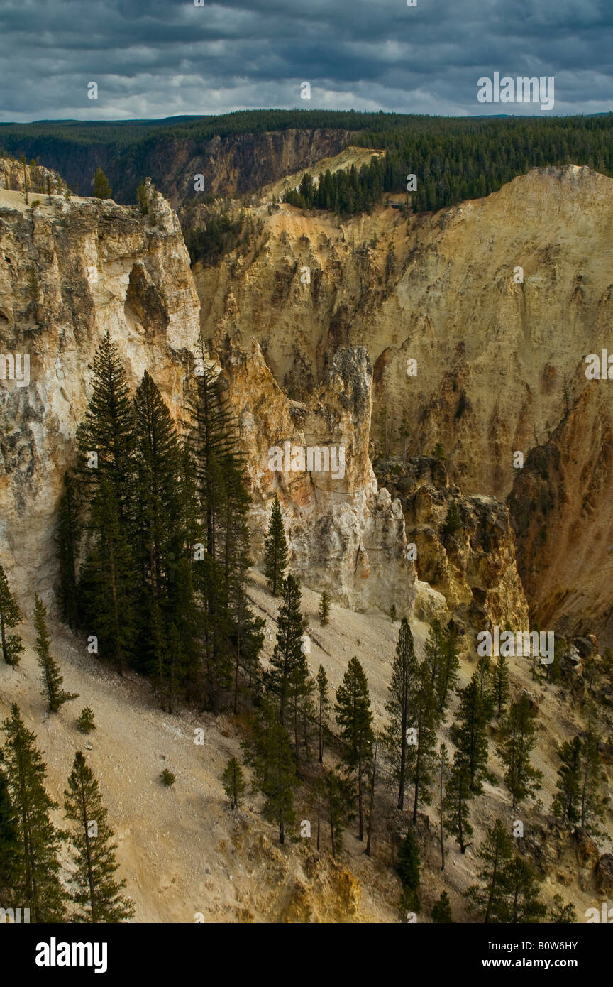 Detail der Canyon Grand Canyon des Yellowstone Nationalpark Yellowstone Wyoming Stockfoto