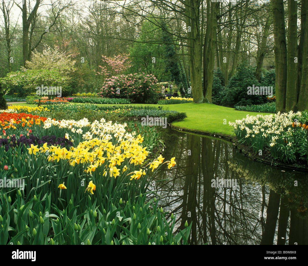 34+ Blumen Garten Holland, Wer möchte, der kann auch bereits jetzt