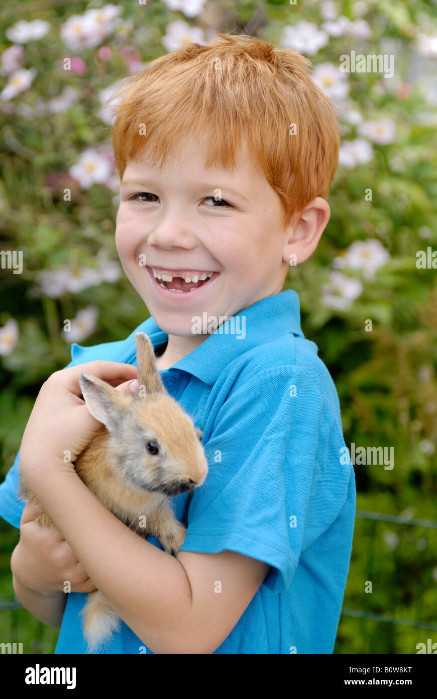 Kleiner Junge hält einen europäischen Kaninchen (Oryctolagus Cuniculus) Stockfoto