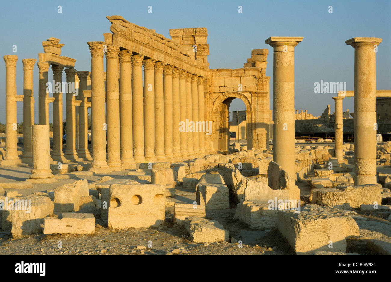 Antiken Säulen, Palmyra, Syrien, Naher Osten Stockfoto
