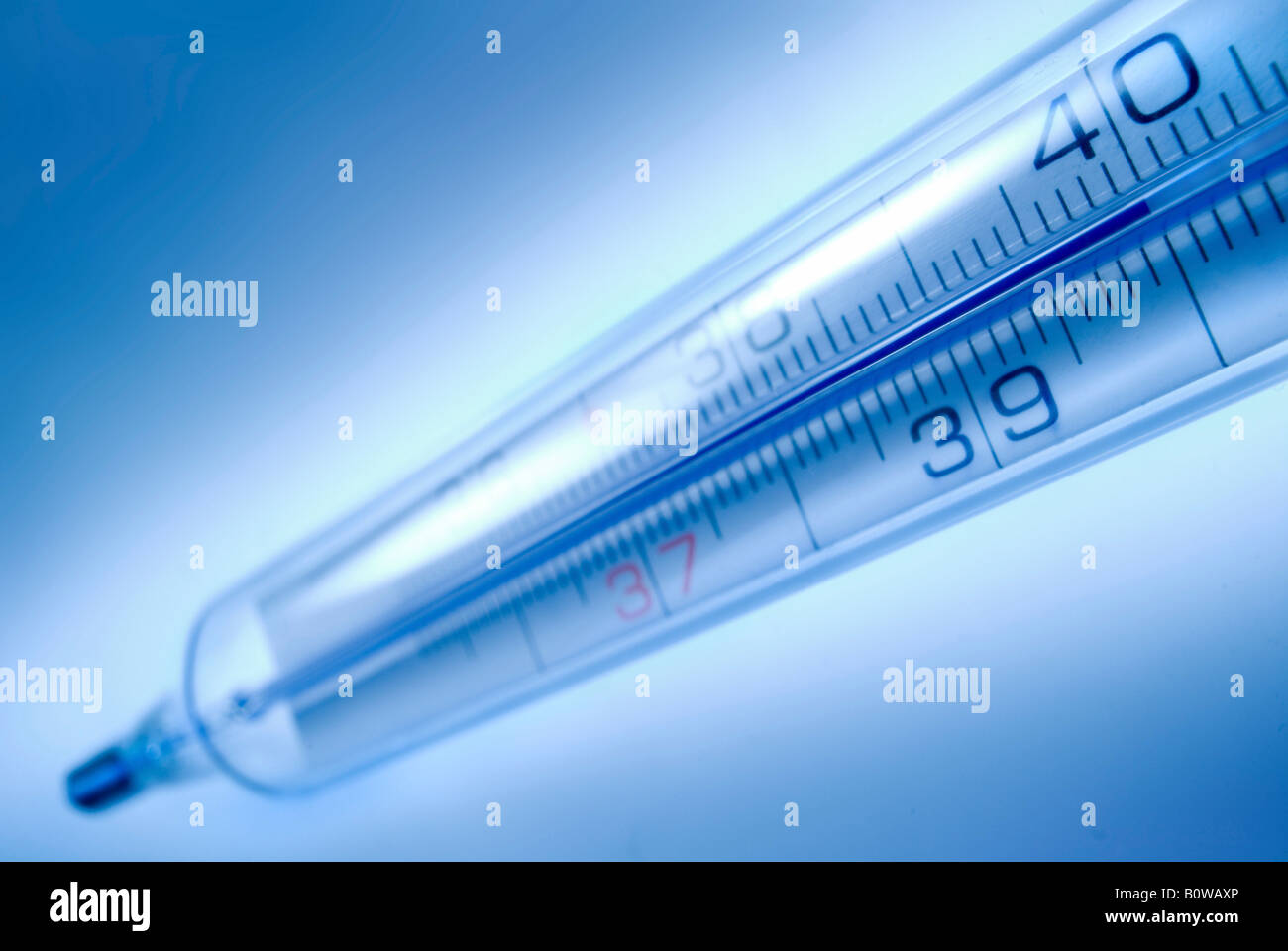 Thermometer vor einem blauen Hintergrund Stockfoto