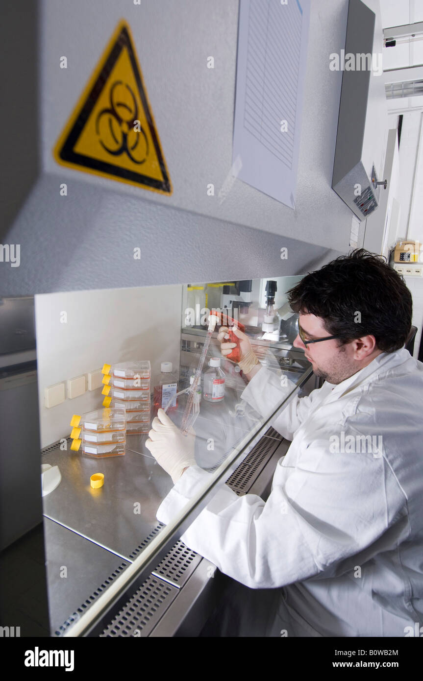 Stammzellforschung, Max-Planck-Institut für molekulare Genetik, Wissenschaftler, Laborant, Anbau von Stammzellen, Berli Stockfoto