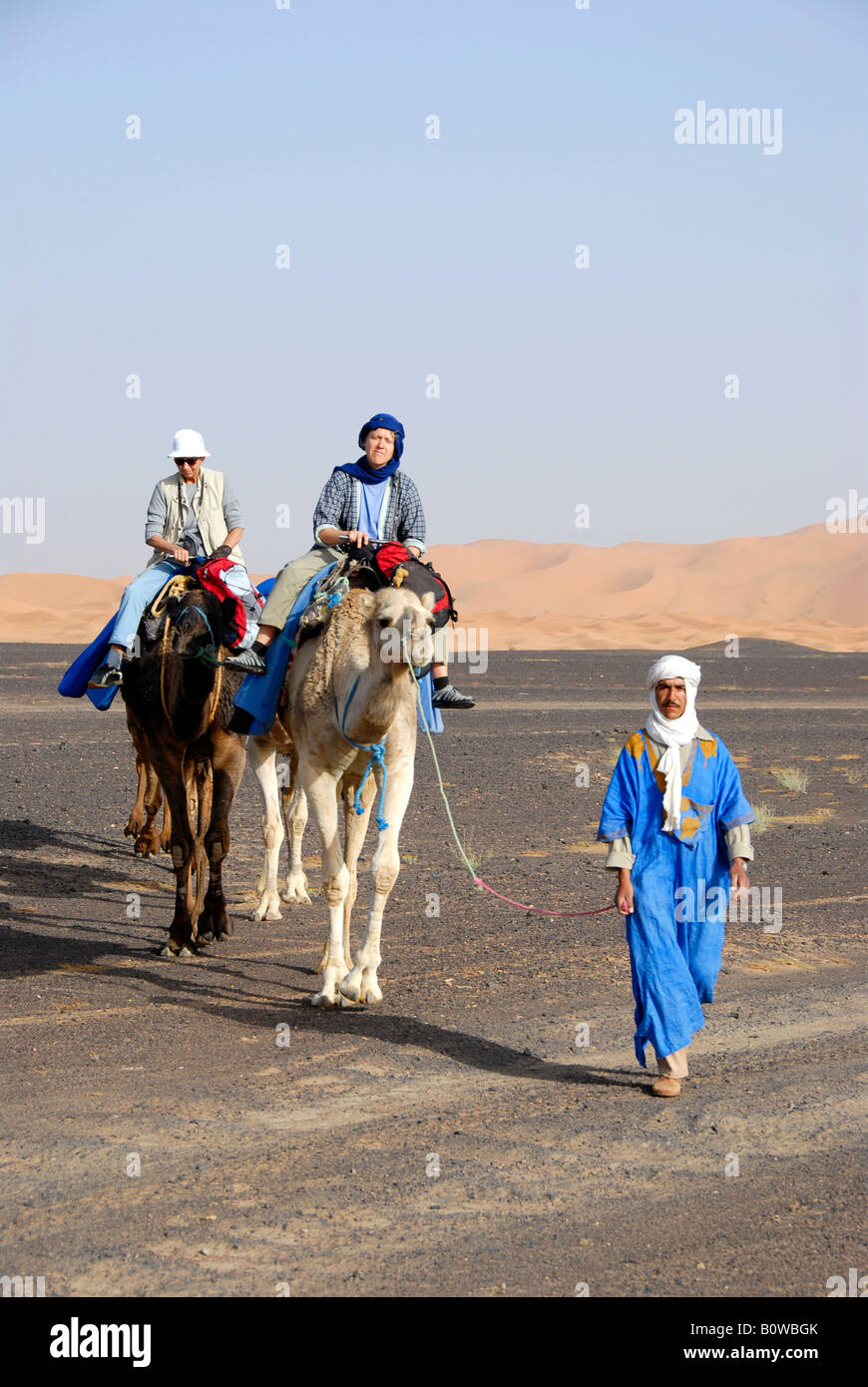 Lokalen Tuareg führt Touristen Kamelreiten über einen flachen Stein Wüste Reg Serir, Erg Chebbi-Dünen an der Rückseite, Merzouga, Mor Stockfoto