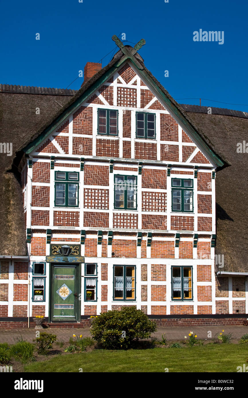 Historisches Fachwerkhaus mit Reetdach, altes Bauernhaus, Obst Anbaugebiet, Jork, Altes Land, Obstanbau, Lo Stockfoto