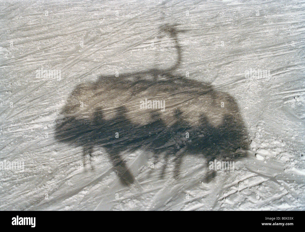 Schatten von einer Seilbahn auf Schnee Stockfoto