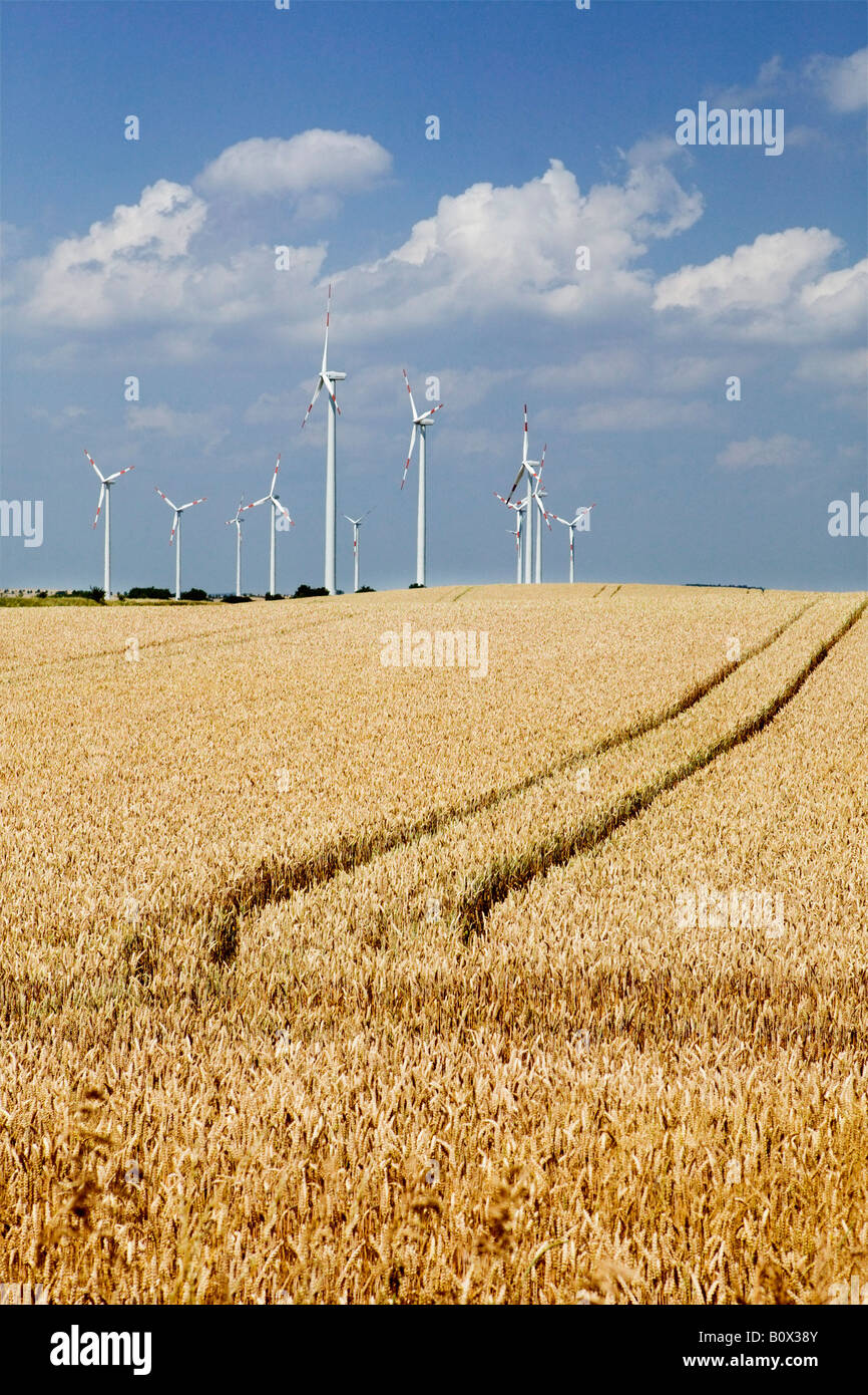 Windkraftanlagen neben einem Weizenfeld Stockfoto