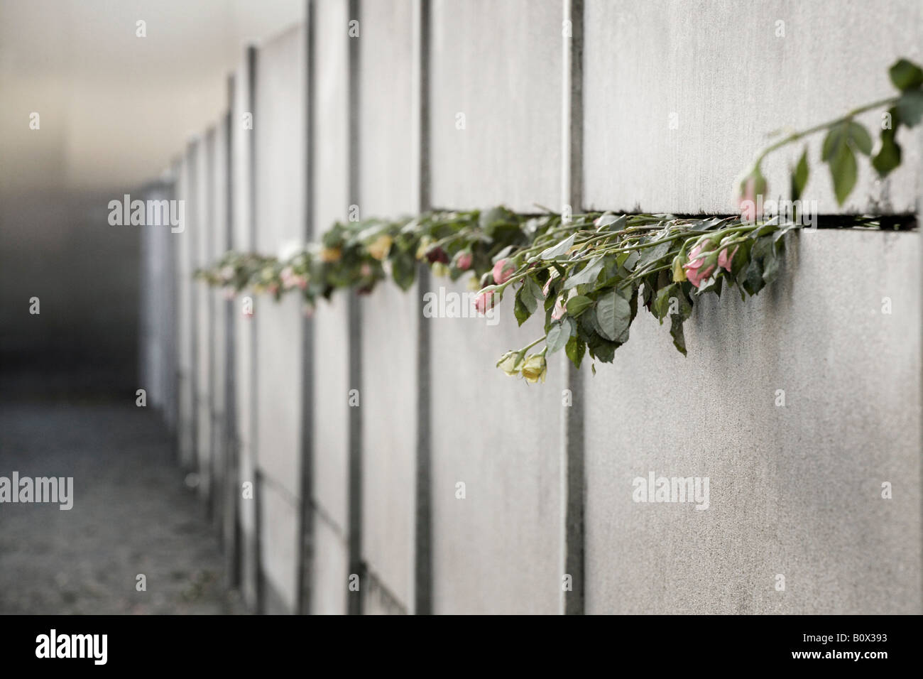 Rosen aus der Berliner Mauer Stockfoto