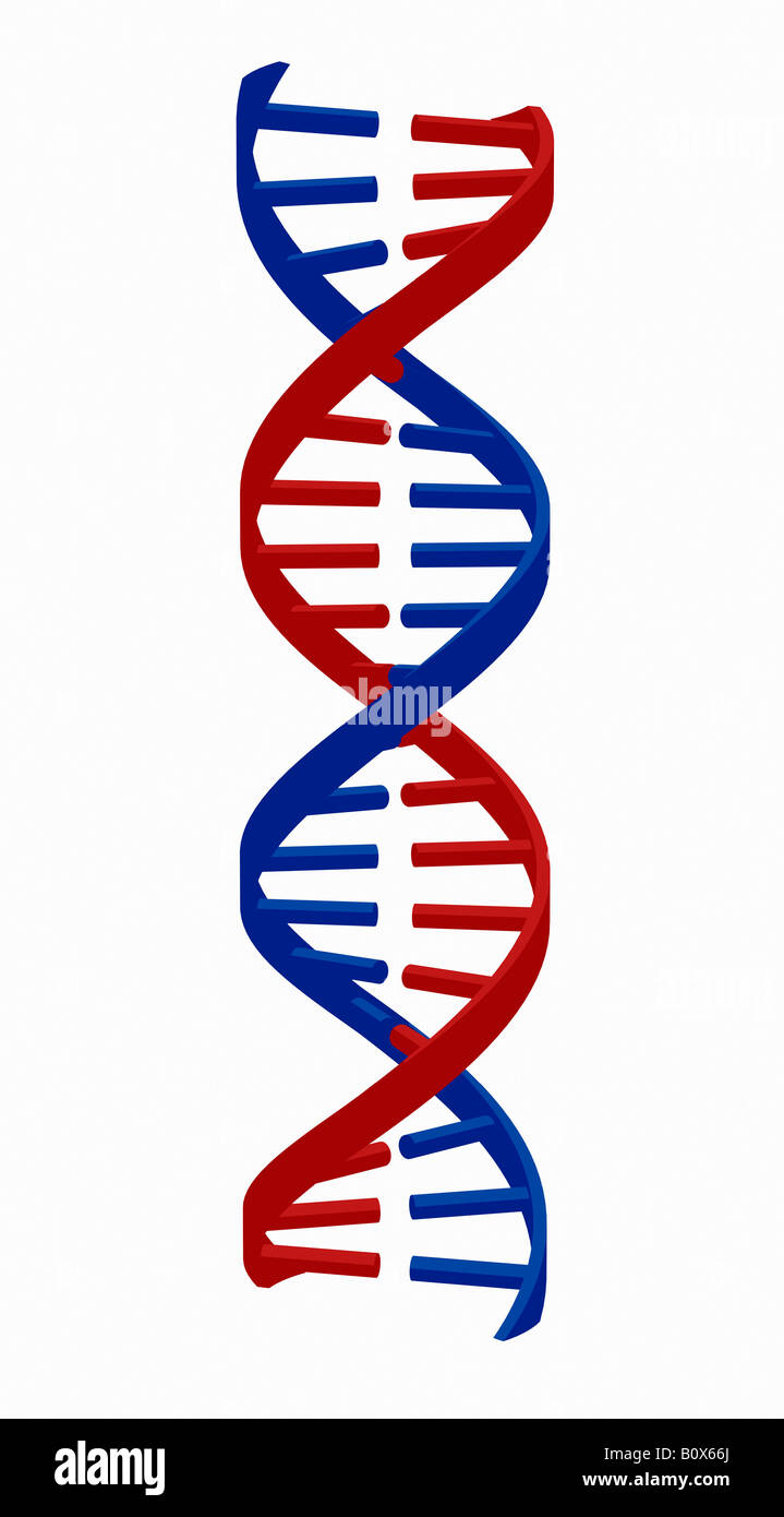 DNA-Strang Stockfoto