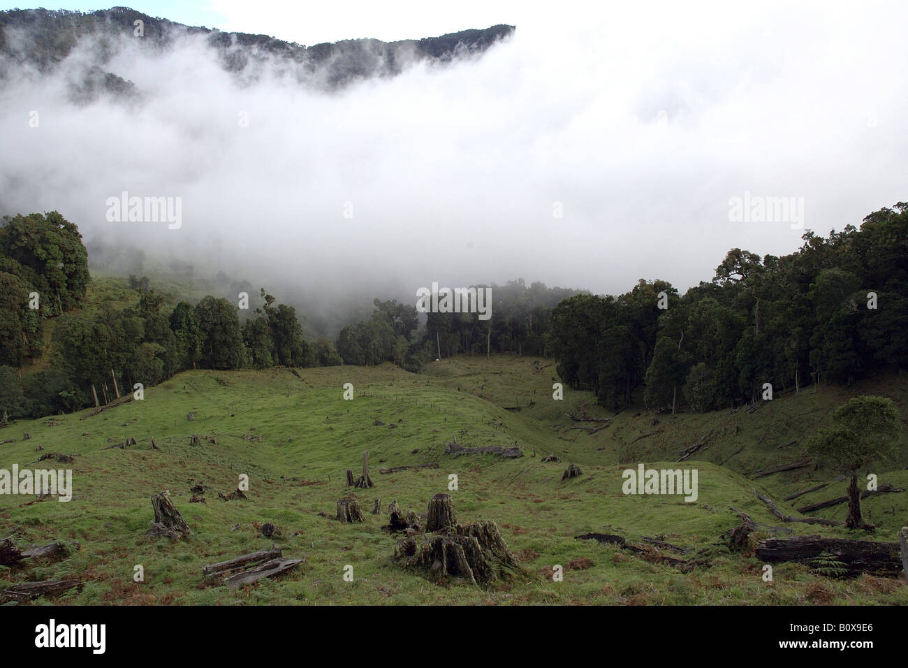 Costa Rica Paesaggio Cordigliera Centrale Disboscamento befindet Stockfoto
