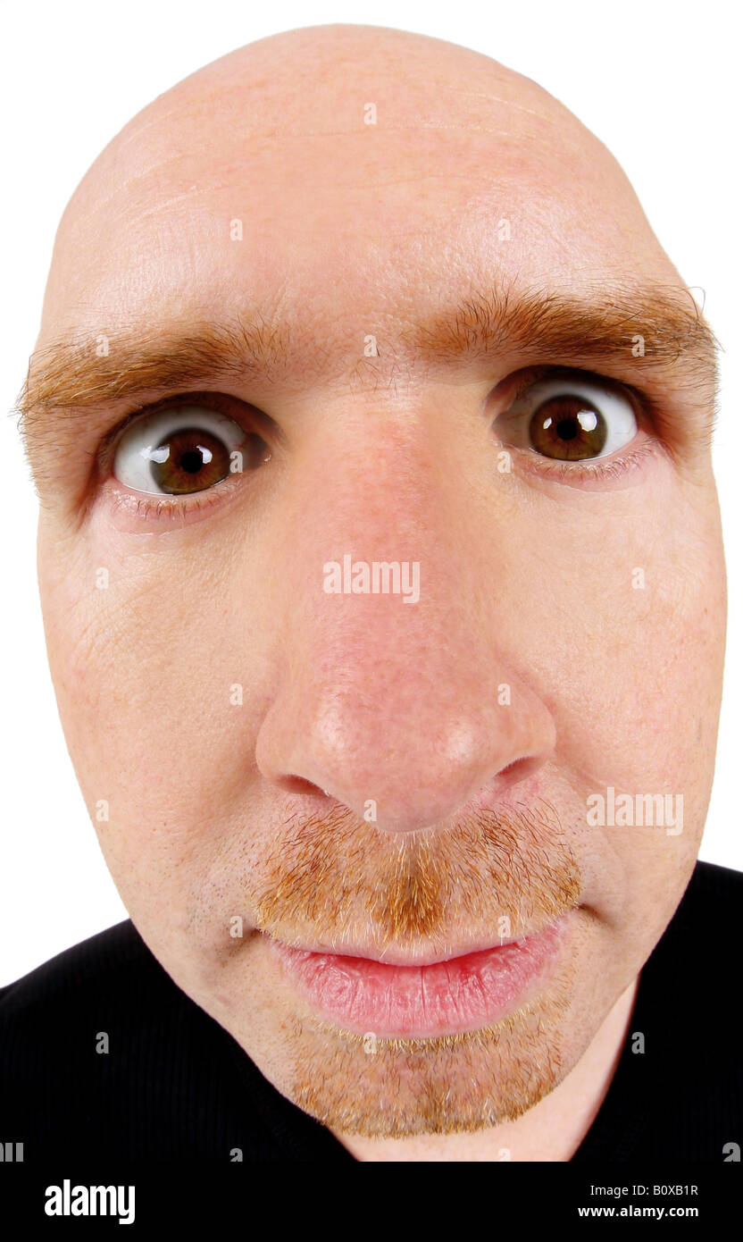 Blick in die Kamera Spitze Glatzkopf Stockfoto