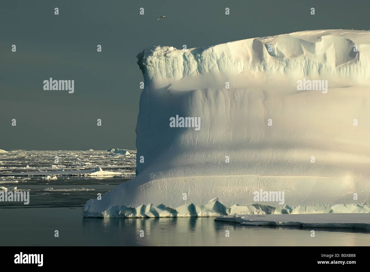 Eisberg Antarktis im südlichen Ozean auf einem fast flachen Meer bedeckt von Eisschollen, Antarktis, Südlicher Ozean Stockfoto