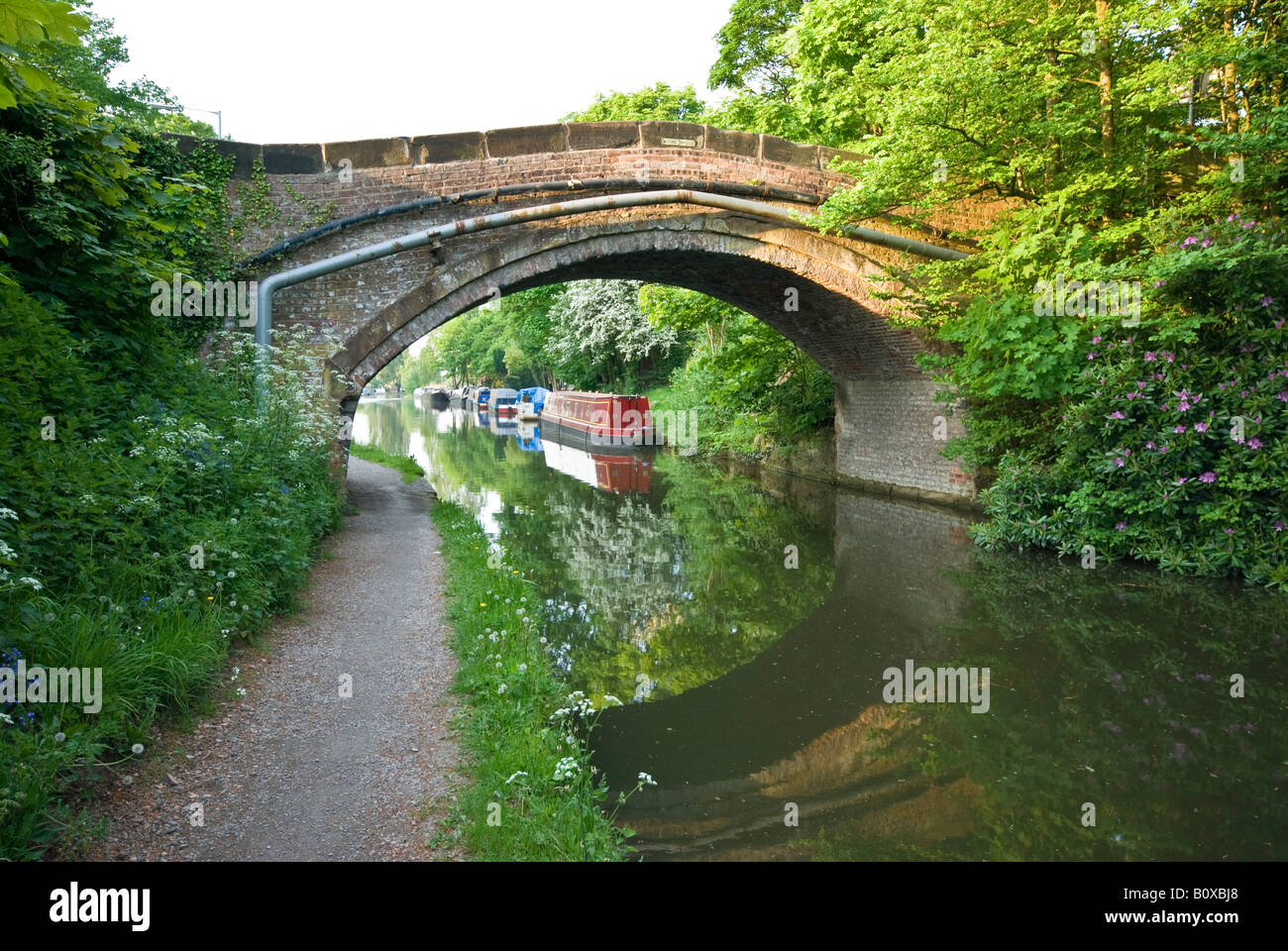 Buckel hintere Brücke über den Bridgewater Kanal in Moore in der Nähe von Daresbury, Warrington, Cheshire. Schmale Boote sind sehr häufig auf diesem Kanal Stockfoto