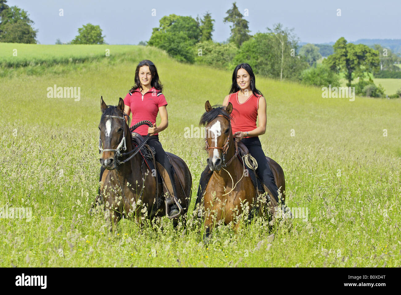 Zwei junge Damen auf Paso Fino Pferde Reiten Stockfoto