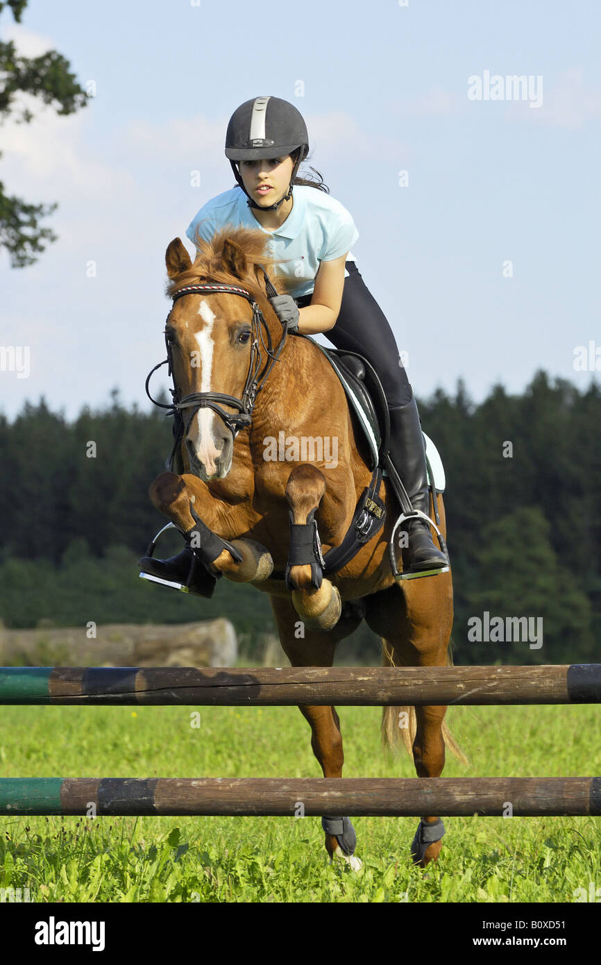 Mädchen auf Deutsch Reiten Pony - springen Stockfoto