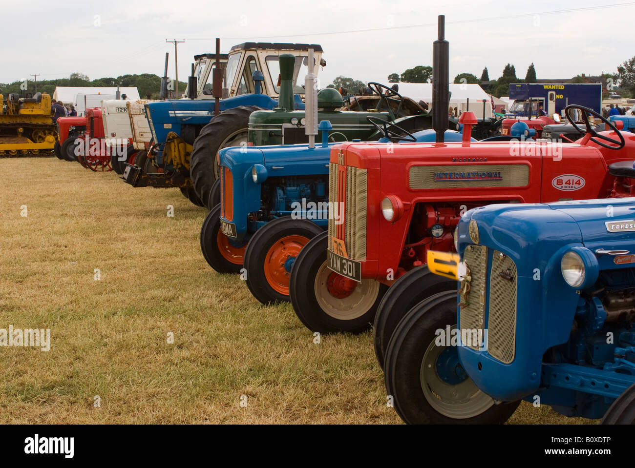 Alten McCormick International Fordson Dexta und andere Traktoren am Smallwood Oldtimer Rallye Cheshire England Vereinigtes Königreich UK Stockfoto