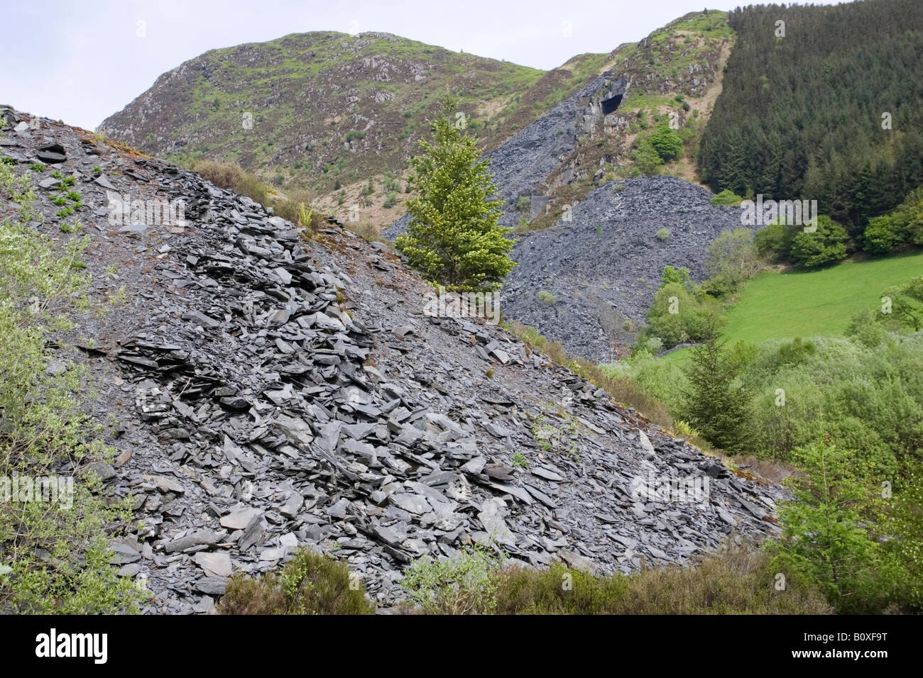 Walisischen Schiefer Bergbau Aberllefenni Schiefer Steinbrüche Machynlleth Powys Wales UK Stockfoto