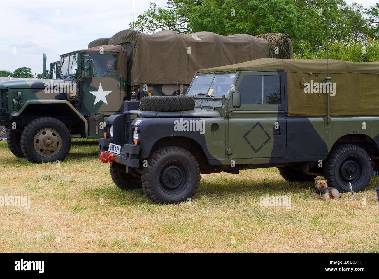 Britische Armee Landrover All Rad Antrieb und amerikanischen M35 LKW bei Smallwood Vintage Rally Cheshire England Vereinigtes Königreich UK Stockfoto
