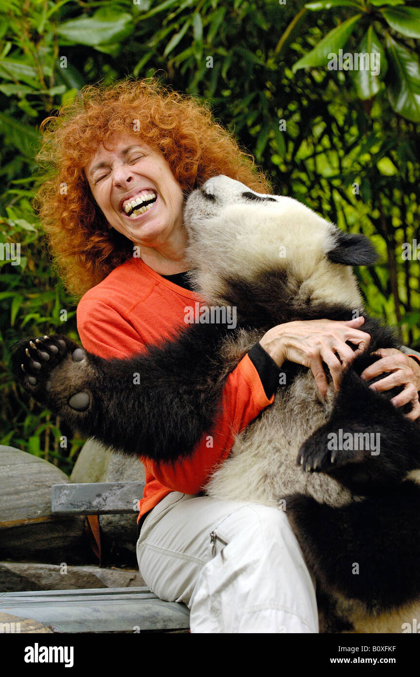 Großer Panda (Ailuropoda Melanoleuca). Lachende Frau touristischen kuscheln Pandababy, das versucht, ihr Ohr zu lecken Stockfoto