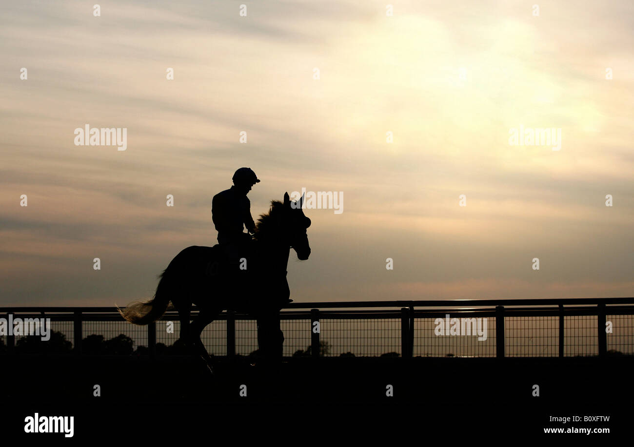 Ein Pferd auf dem Towcester Racecourse Silhouette Stockfoto