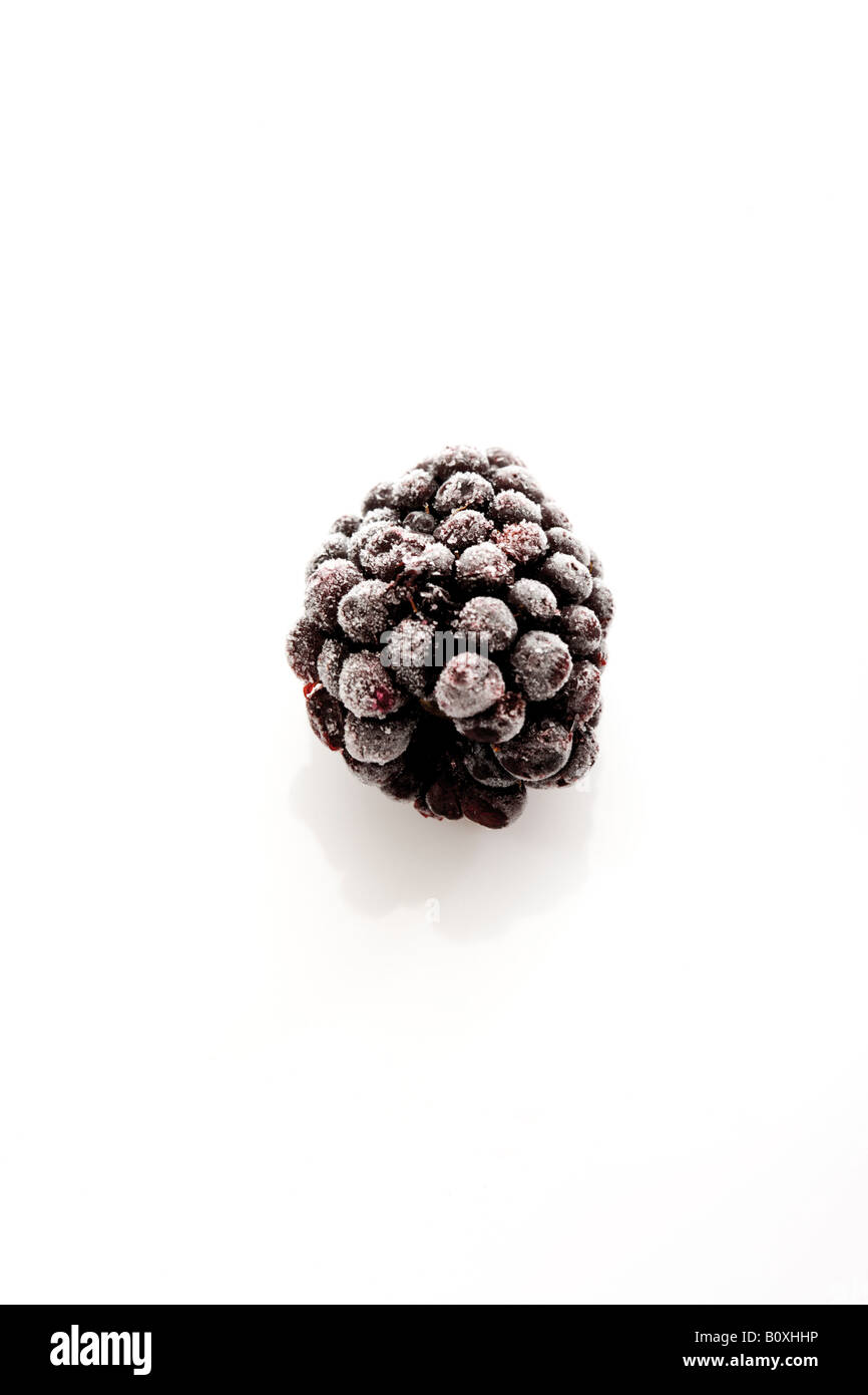 Gefrorene blackberry Stockfoto