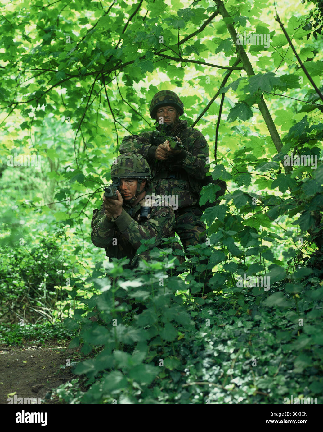Bewaffneten territoriale Armeesoldaten getarnt Bäumen Stockfoto