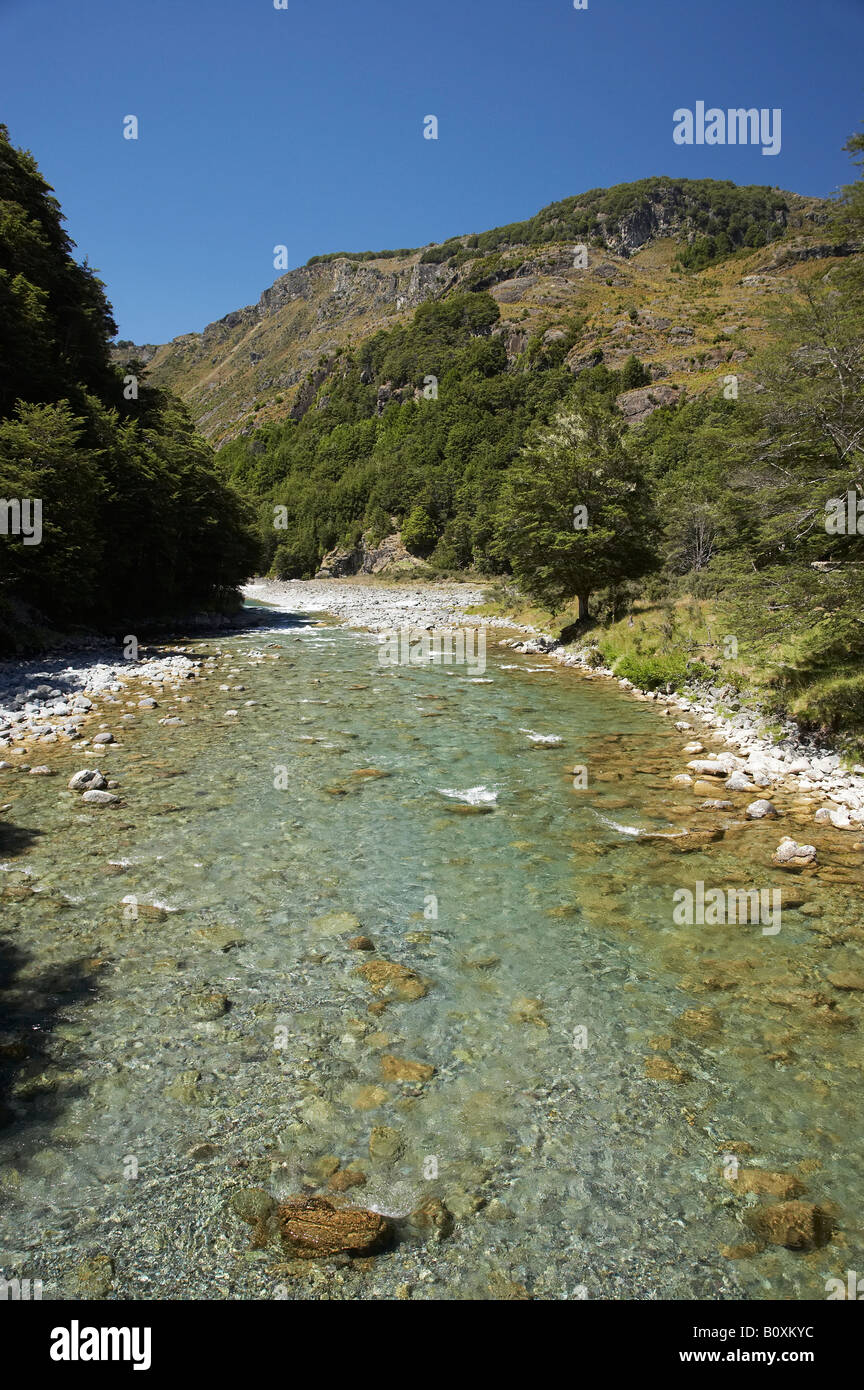 Caples Fluss oberhalb Zusammenfluss mit Greenstone Fluss Caples und Greenstone Täler in der Nähe von Lake Wakatipu South ist Neuseeland Stockfoto