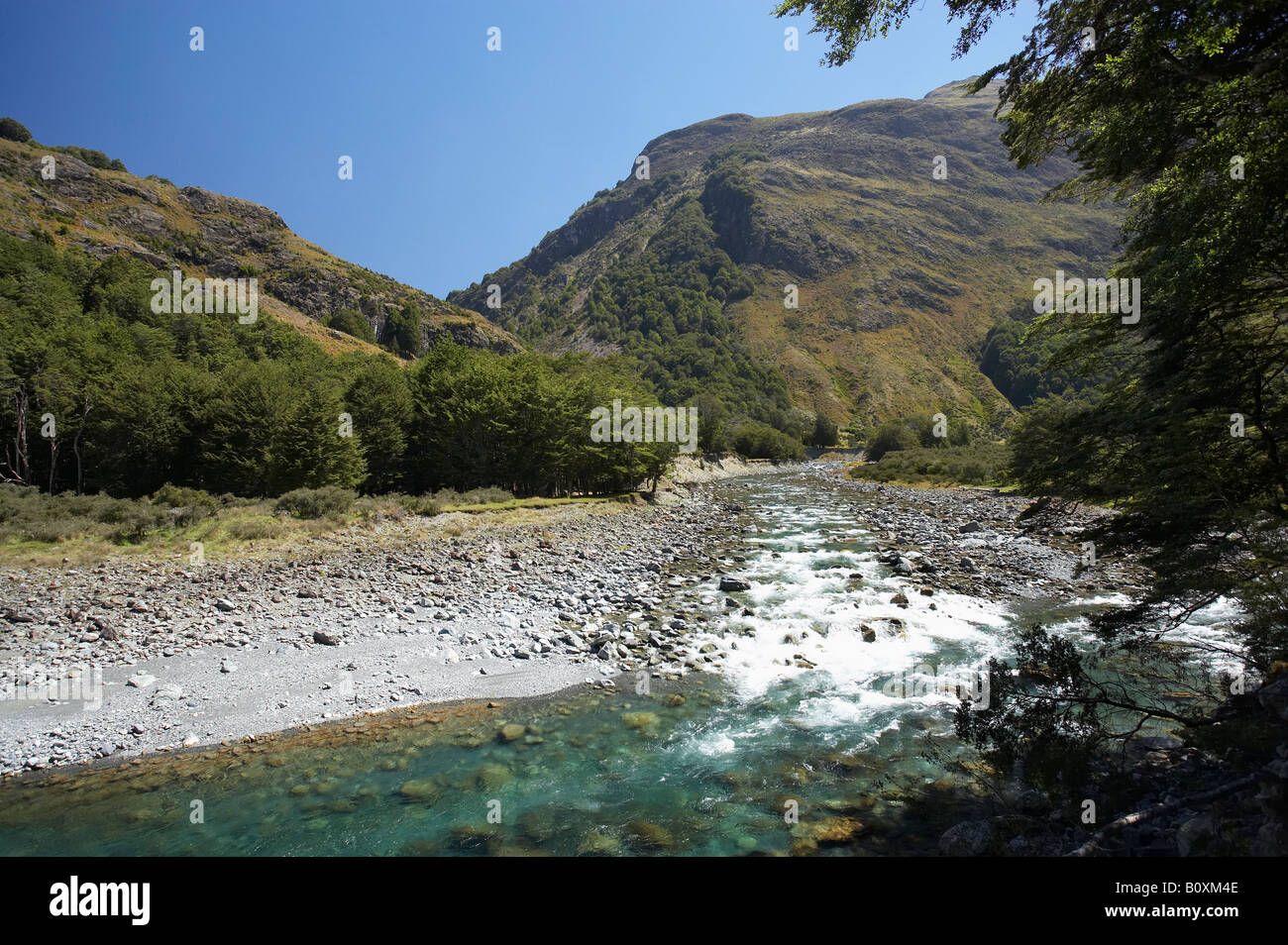 Zusammenfluss von Grünstein und Caples Flüsse Greenstone Track Greenstone Valley in der Nähe von Lake Wakatipu Südinsel Neuseeland Stockfoto