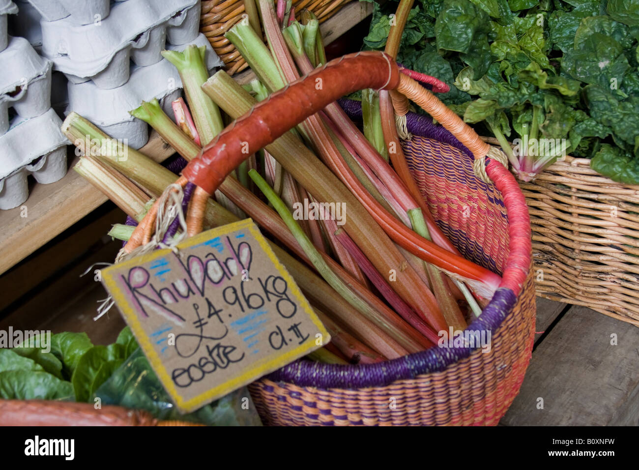 Organischer Rhabarber in Norwich Markt Stockfoto