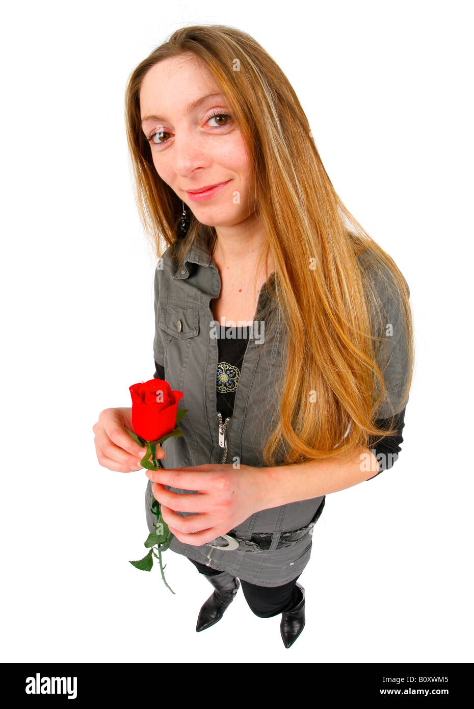 junge Frauen mit einer roten rose Stockfoto