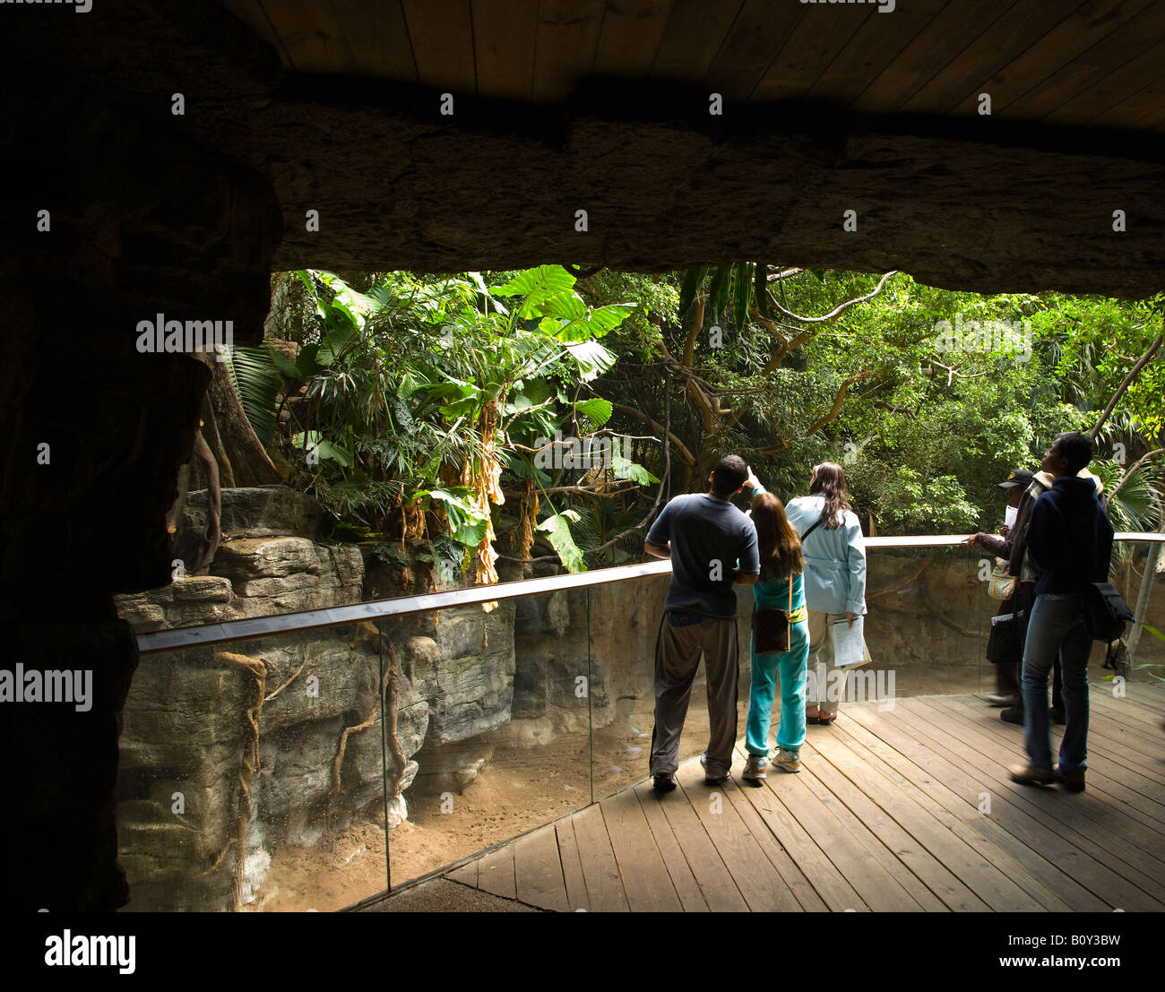 Menschen sehen eine Ausstellung auf Dschungelwelt im Bronx Zoo Stockfoto