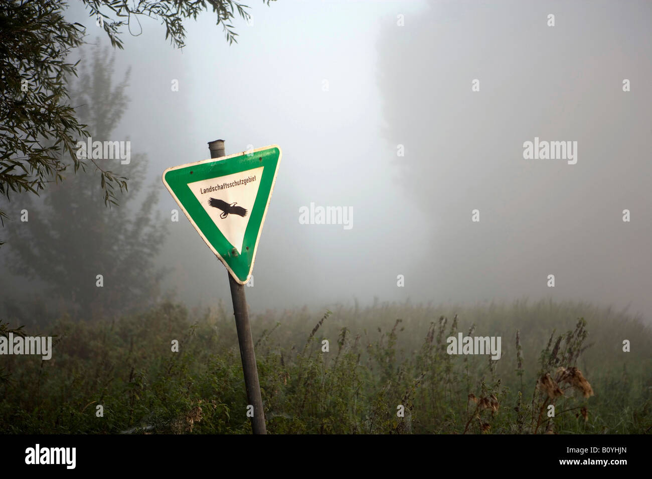 Deutschland, Nature Reserve Zeichen, Morgennebel im Wald Stockfoto