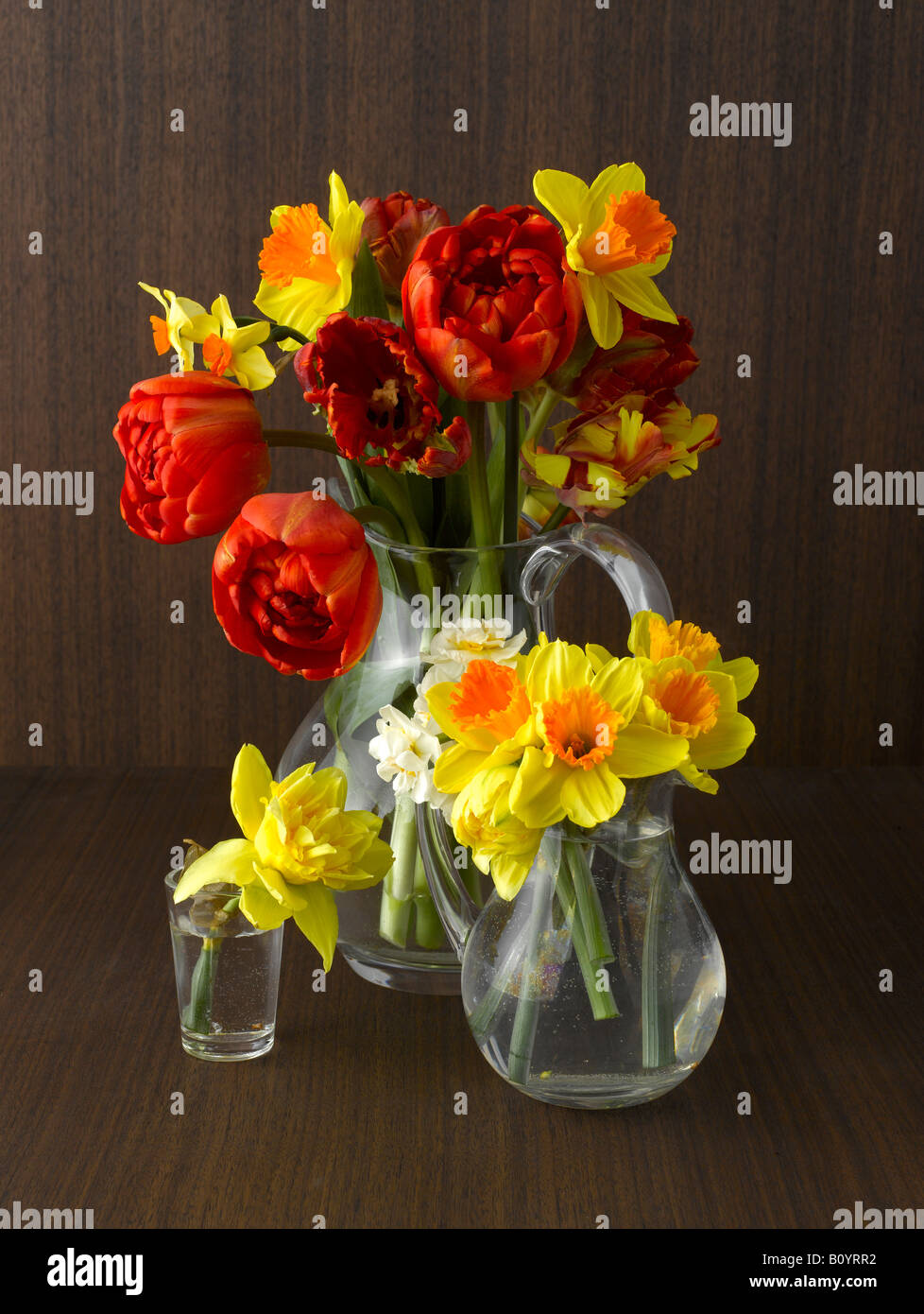 Narzissen und Tulpen in Vasen Stockfoto