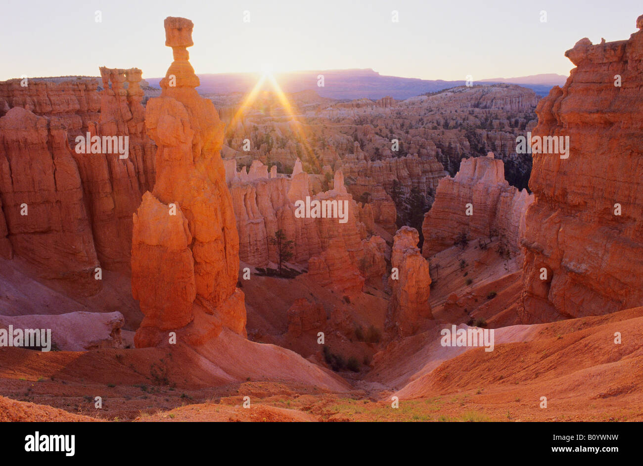 Der Hammer des Thor, Bryce-Canyon-Nationalpark Stockfoto