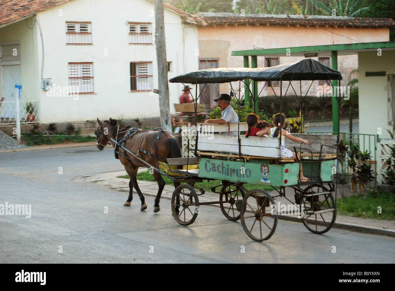 Pferd gezeichneten Wagen in Vinales Western Kuba Stockfoto