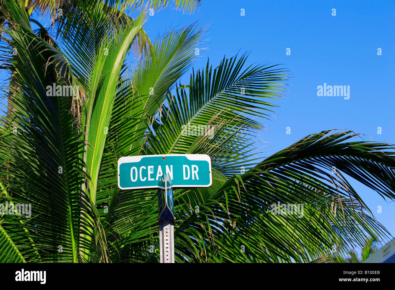 Straßenschild für Ocean Drive in South Beach, Miami Beach, Florida Stockfoto